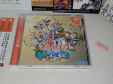 Load image into Gallery viewer, Climax Landers - Sega dc Dreamcast
