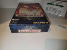 Load image into Gallery viewer, Eye of the Beholder - Nintendo Sfc Super Famicom

