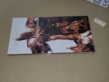 Load image into Gallery viewer, Devil May cry Dante’s Selection
 - Music cd soundtrack
