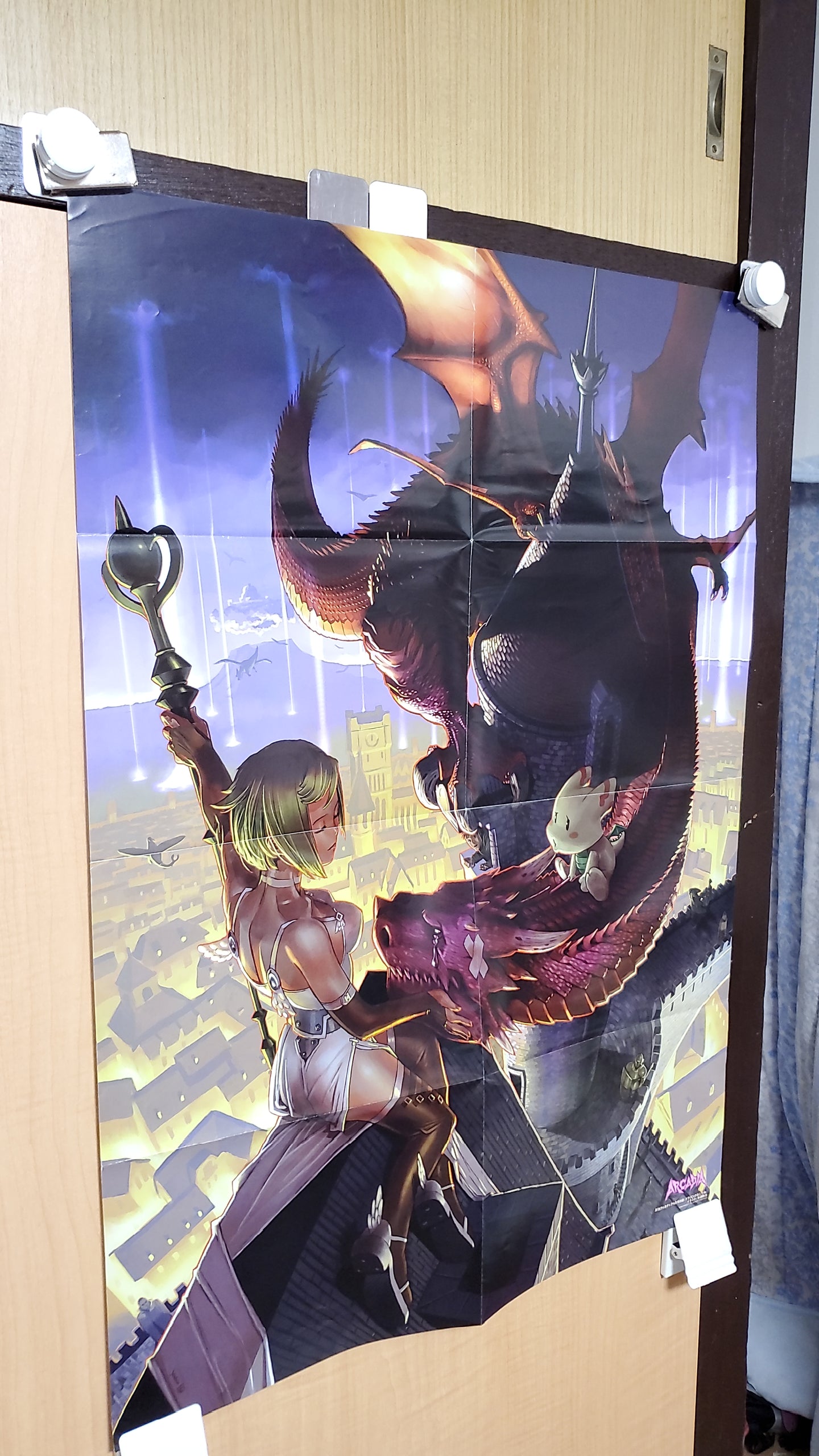 Dragon Chronicle poster - poster / scrool / tapestry japan