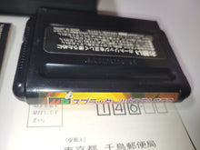 Load image into Gallery viewer, Splatterhouse Part.3 - Sega MD MegaDrive
