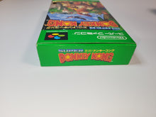 Load image into Gallery viewer, Super Donkey Kong  - Nintendo Sfc Super Famicom
