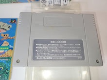 Load image into Gallery viewer, Joe &amp; Mac - Nintendo Sfc Super Famicom
